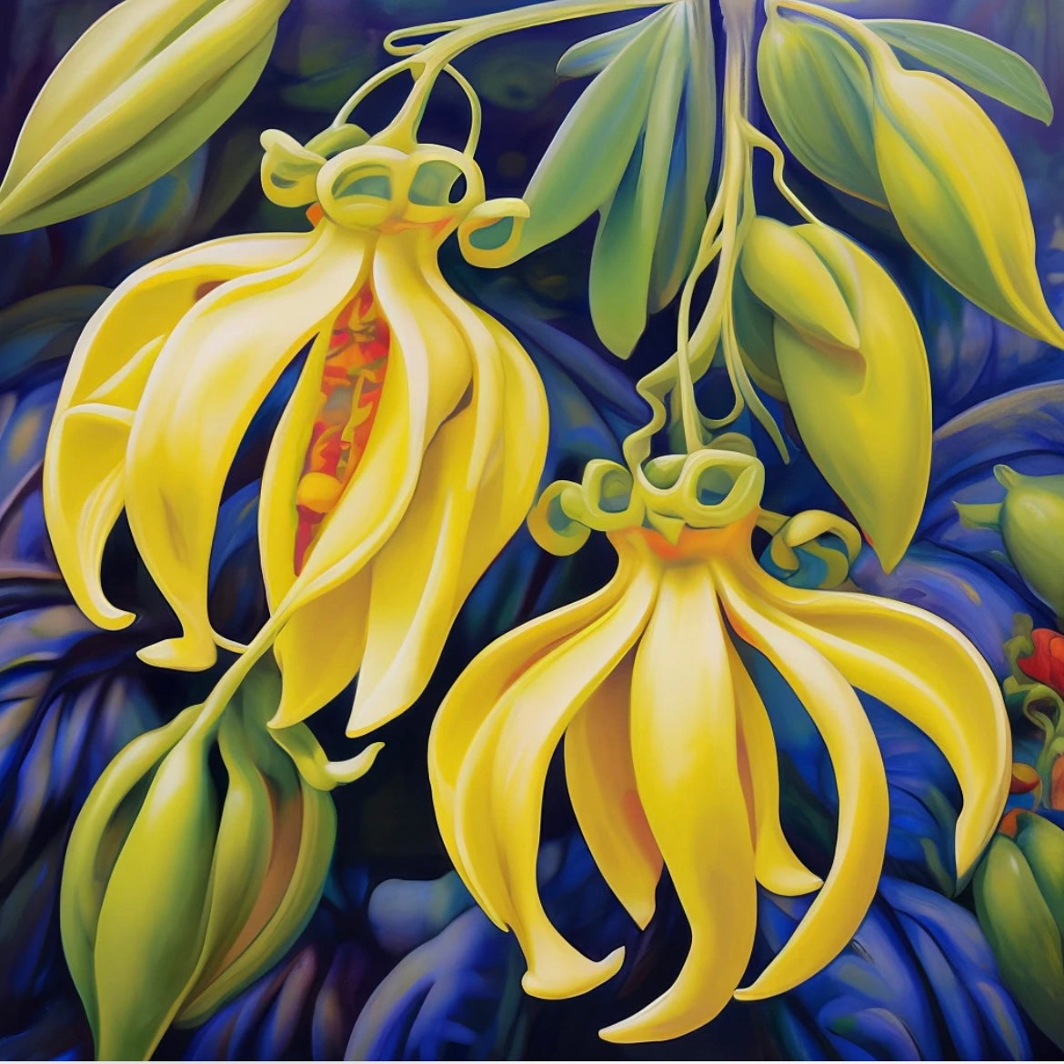 YLANG YLANG III – olio essenziale per profumeria