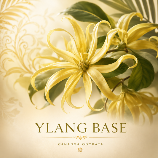 YLANG BASE – reconstituted perfume base