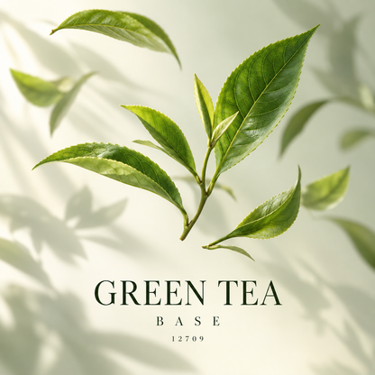 GREEN TEA BASE 12709 — illustrazione del tema olfattivo al tè verde con foglie di tè su fondo chiaro
