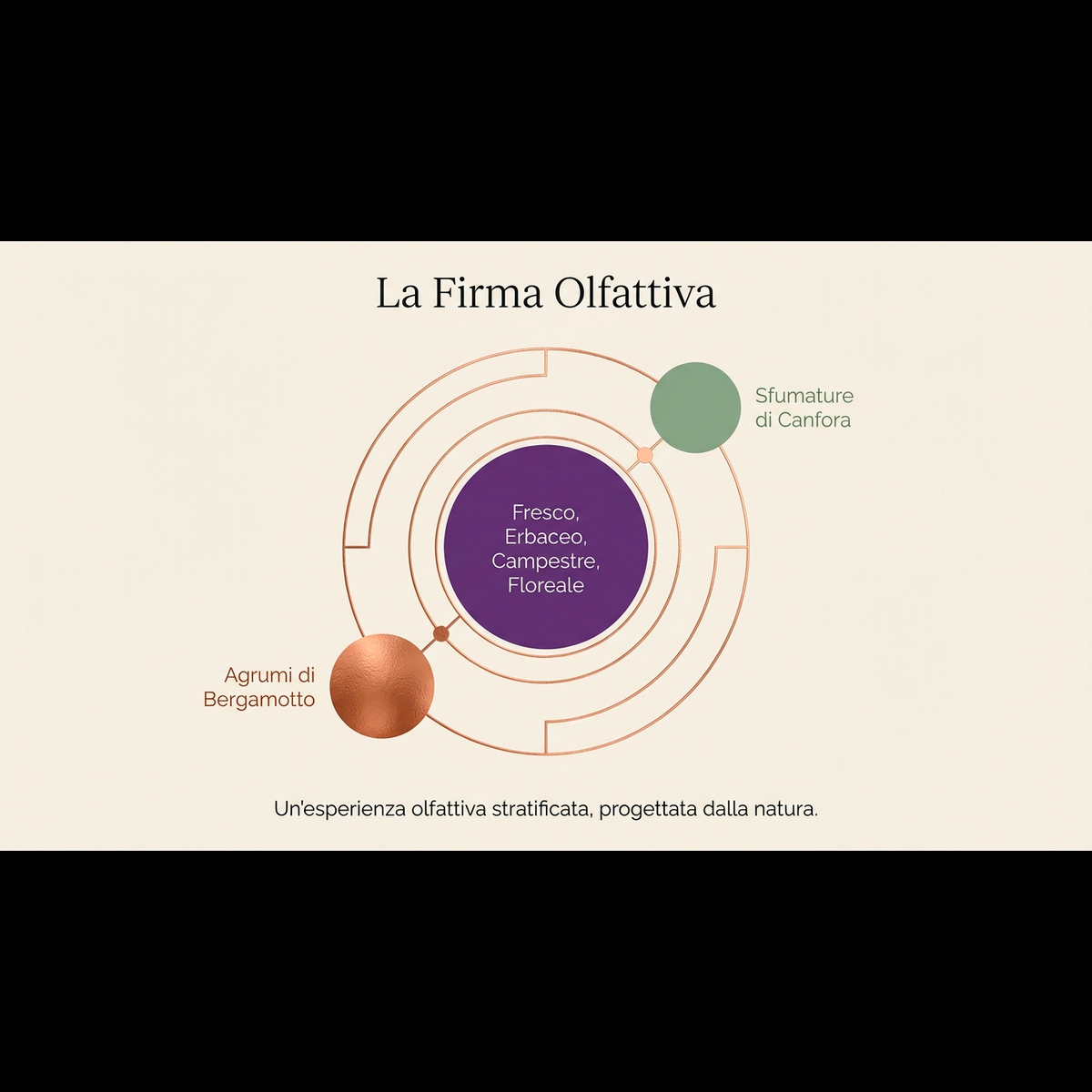 LAVANDIN GROSSO HE – olio essenziale aromatico, erbaceo e canforato con sentore di lavanda, erbe mediterranee e pino chiaro
